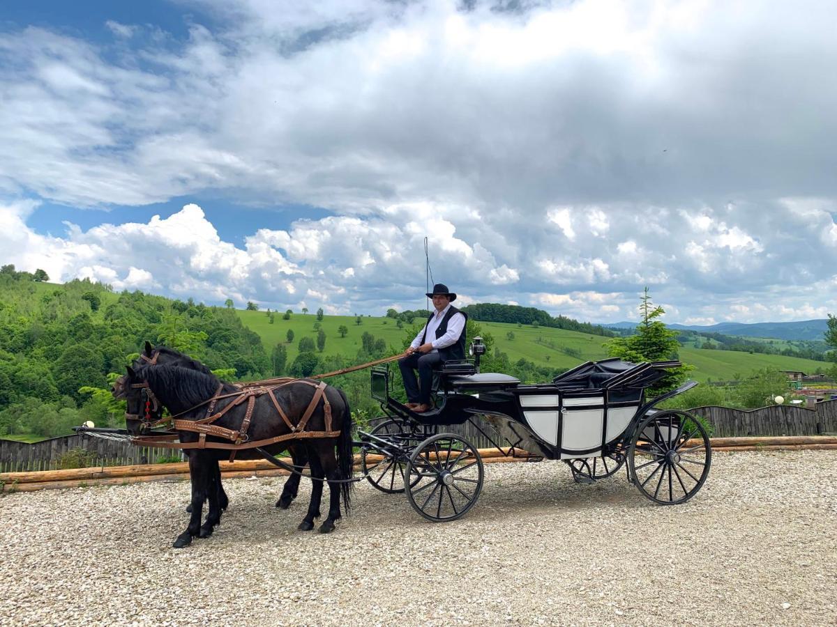 Casa Bradet Guest House Întorsura Buzăului Bagian luar foto