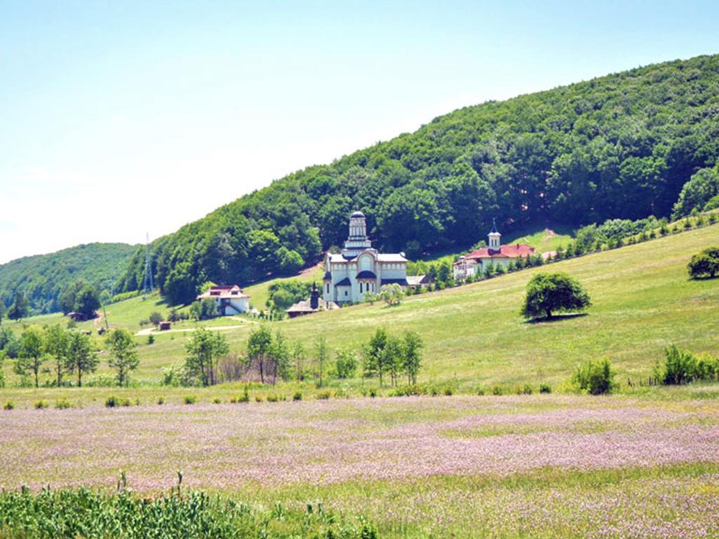 Casa Bradet Guest House Întorsura Buzăului Bagian luar foto