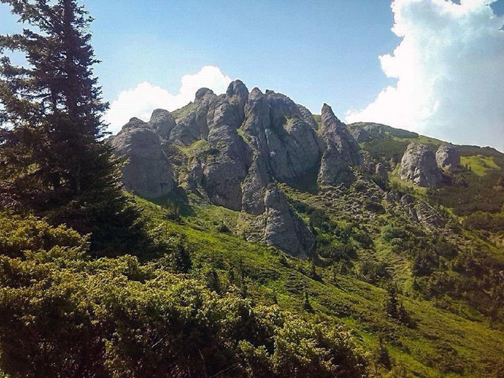 Casa Bradet Guest House Întorsura Buzăului Bagian luar foto