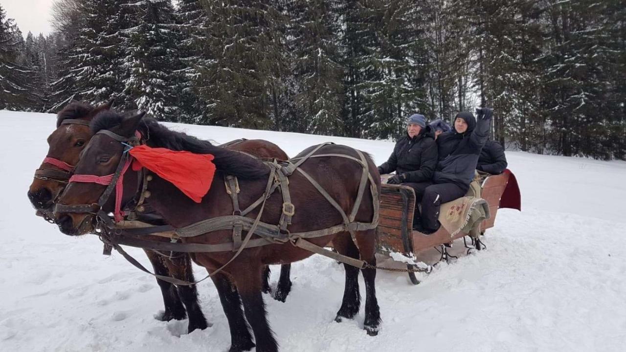 Casa Bradet Guest House Întorsura Buzăului Bagian luar foto